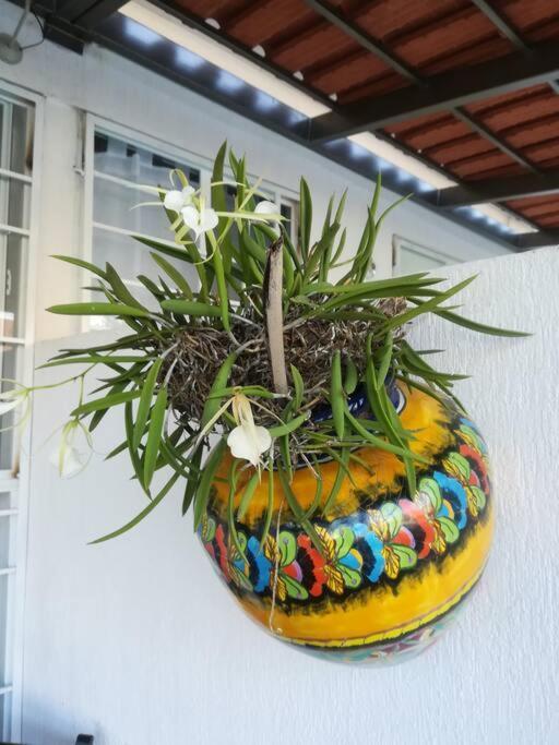 Privadas Turquesa, Nombre Del Alojamiento "Casa Niza Cancun" Exteriér fotografie