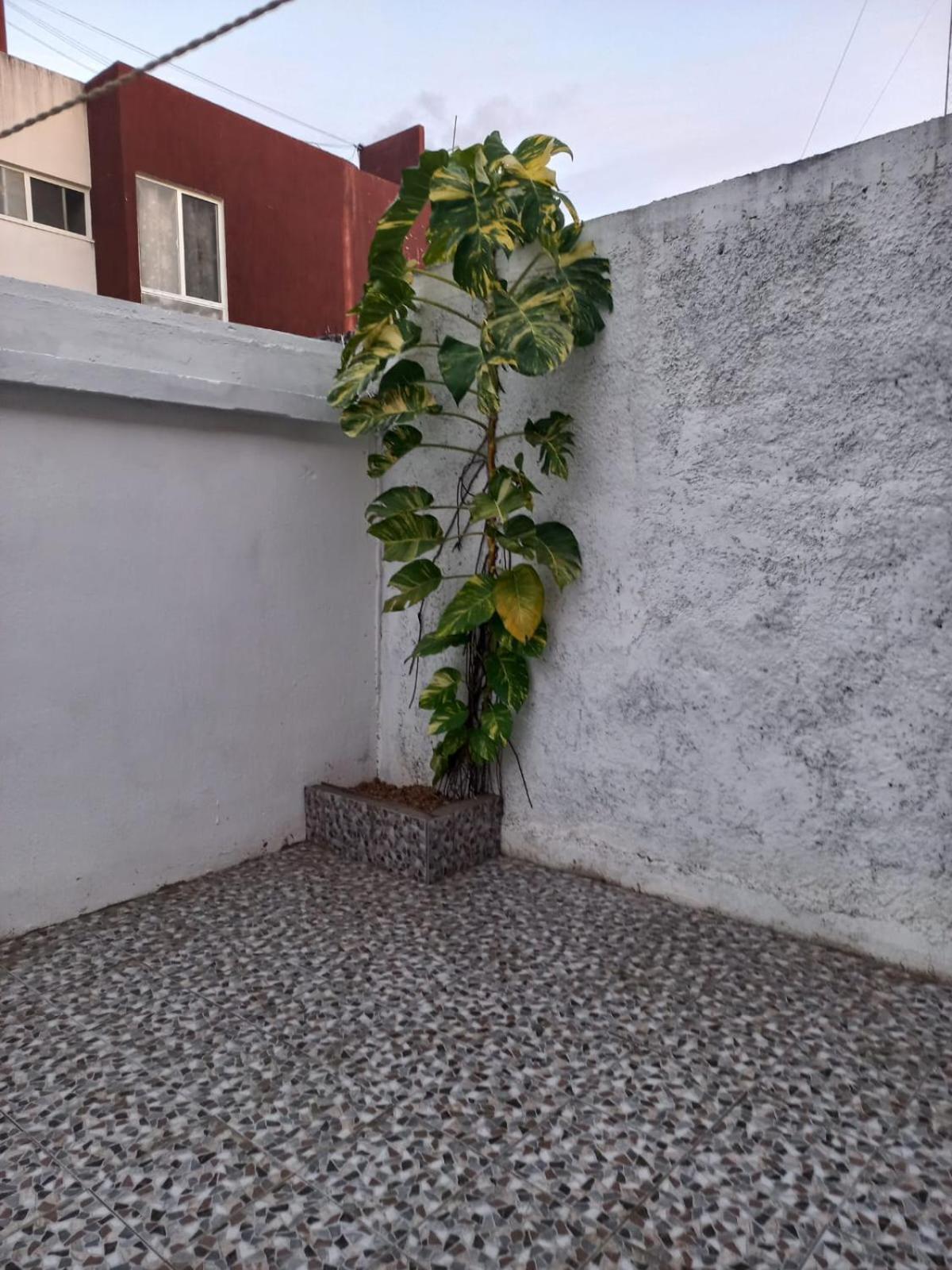 Privadas Turquesa, Nombre Del Alojamiento "Casa Niza Cancun" Exteriér fotografie
